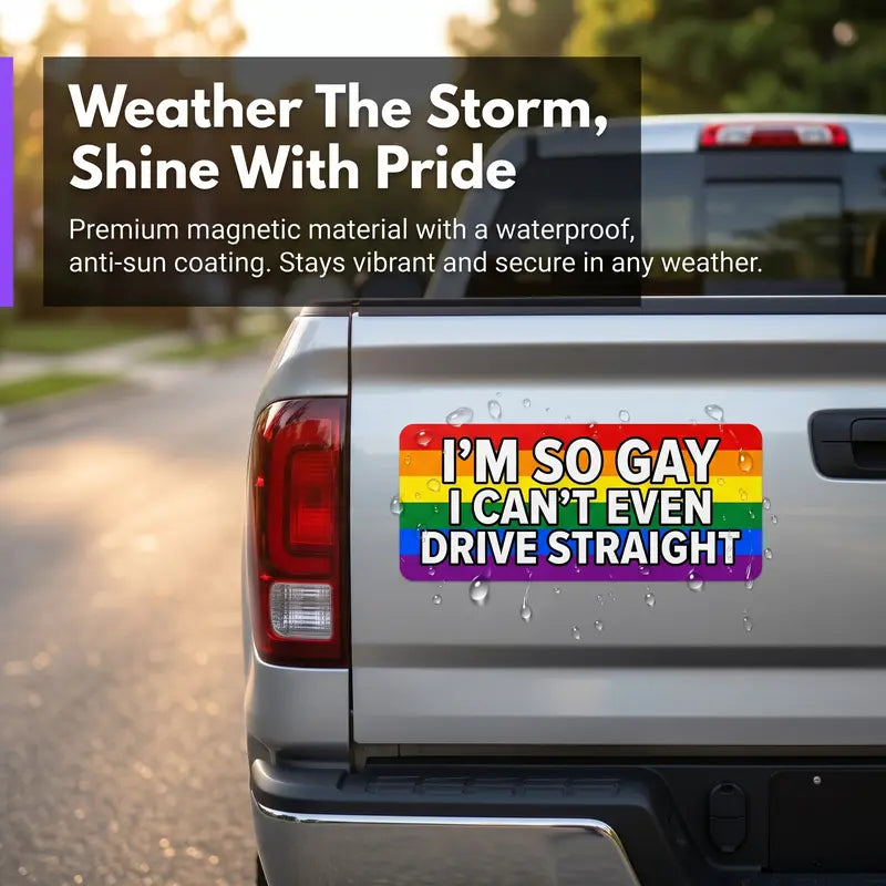🌈 12-Piece Rainbow Car Magnet Set – Weatherproof & Paint-Safe
