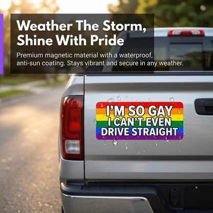 🌈 12-Piece Rainbow Car Magnet Set – Weatherproof & Paint-Safe